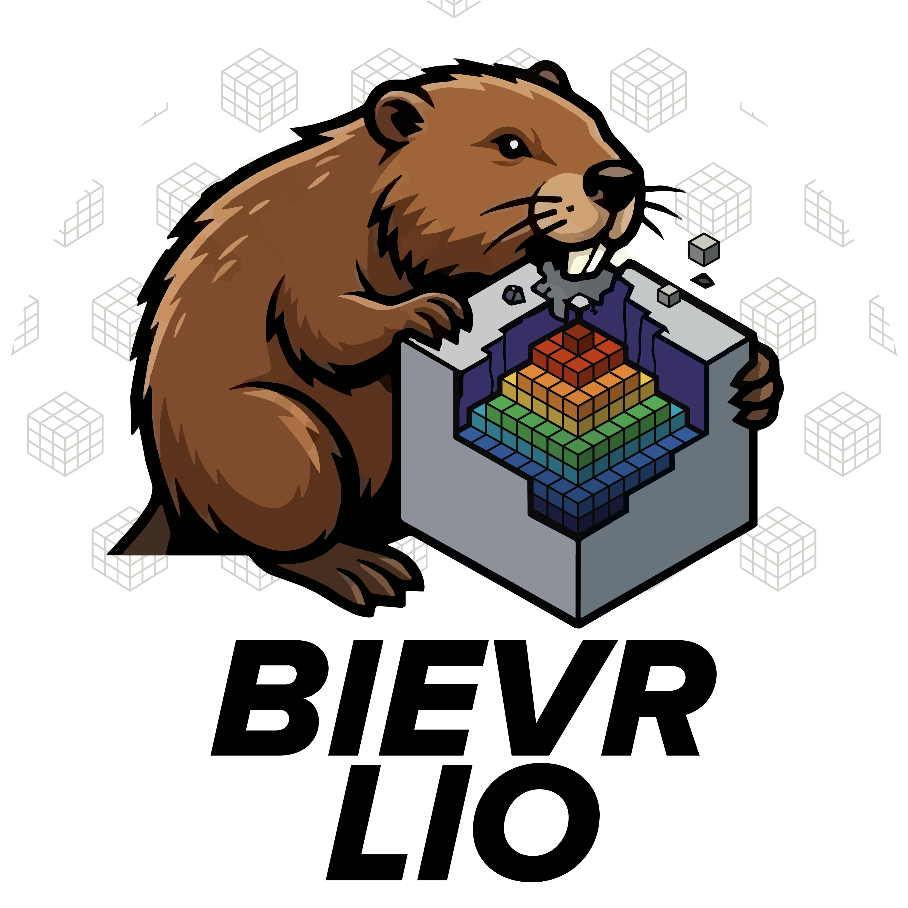 BIEVR-LIO logo